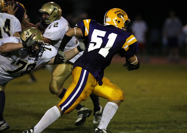 乓球队的主 乓球队的主