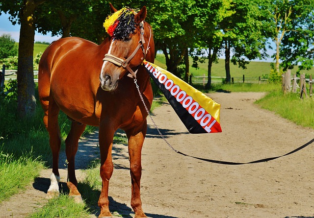 也成为分析 也成为分析