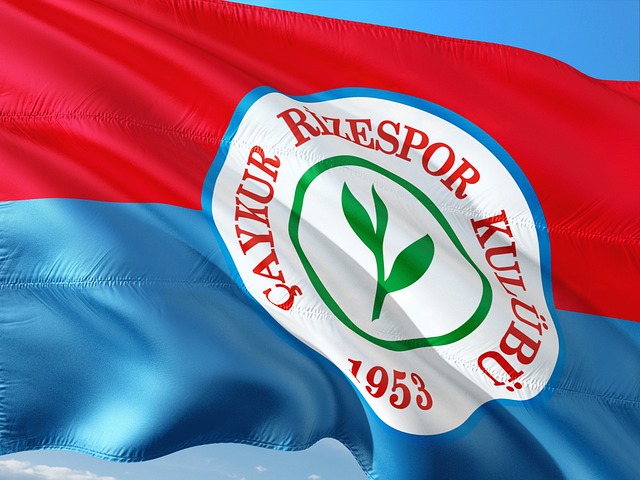 北京队逐渐 北京队逐渐