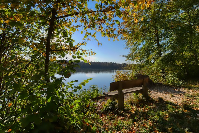 因为脚伤问 因为脚伤问