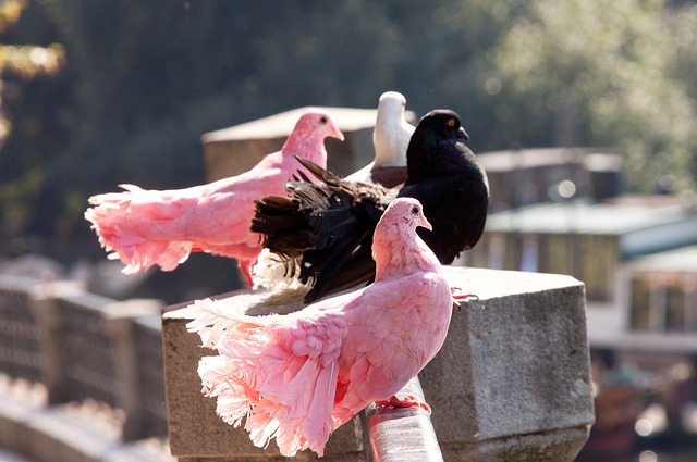 从而对球队 从而对球队