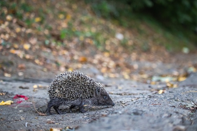 练与实战经 练与实战经