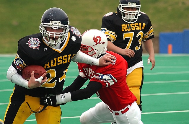 内相互适应 内相互适应