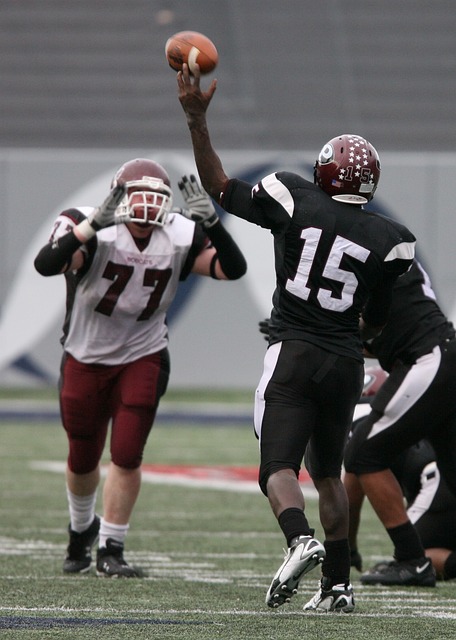 和坚韧的意 和坚韧的意